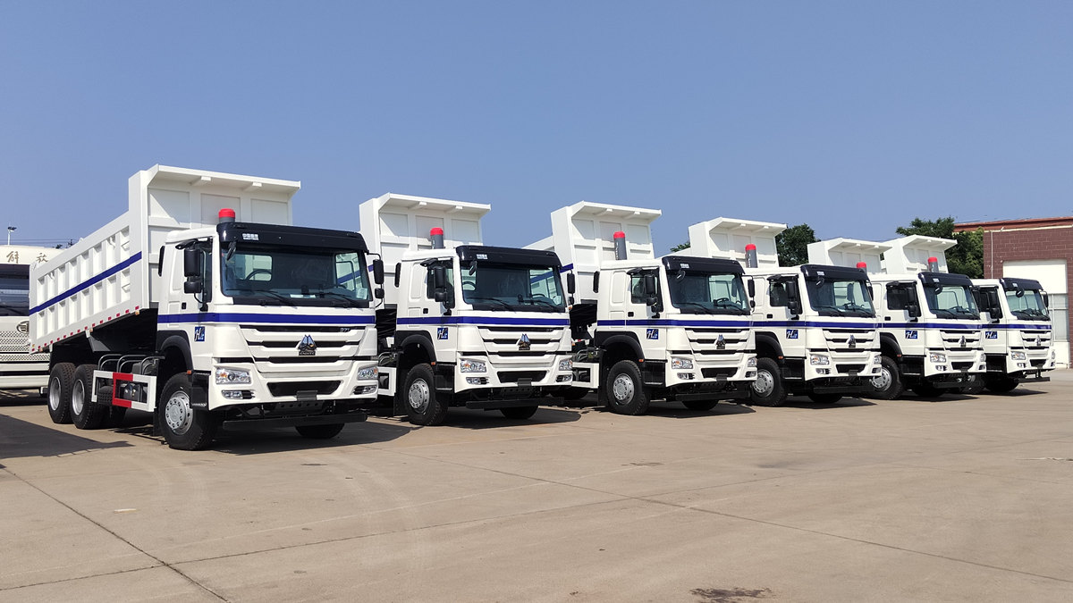 Cliente da Arábia Saudita inspecionando caminhão basculante HOWO de 20 toneladas.