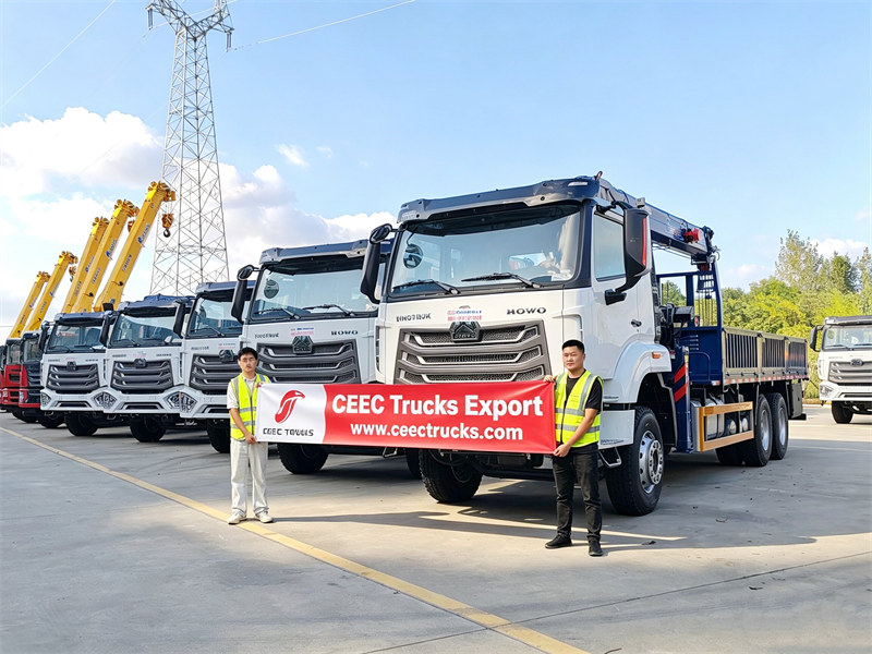 Cinco guindastes HOWO montados em caminhões foram entregues em Angola.